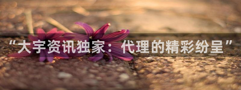 星欧娱乐官网：“大宇资讯独家：代理的精彩纷呈”