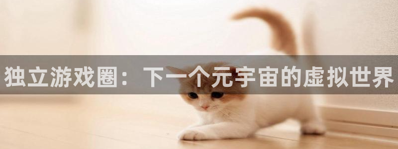 星欧娱乐平台登录入口：独立游戏圈：下一个元宇宙的虚拟世界