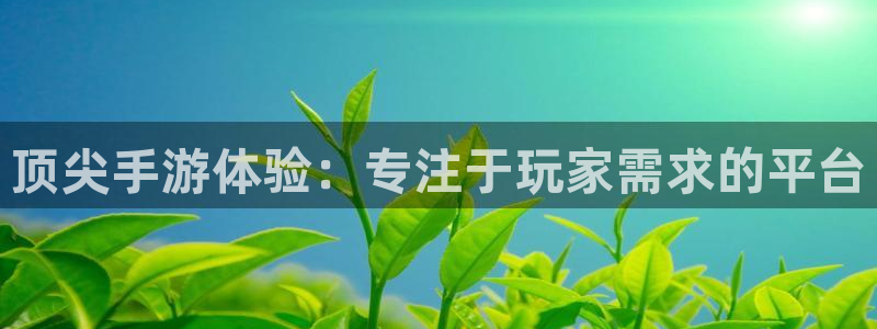 星欧娱乐网址官网：顶尖手游体验：专注于玩家需求的平台