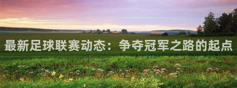星欧娱乐平台负责人：最新足球联赛动态：争夺冠军之路的起点