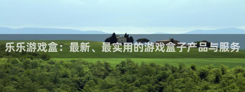 星欧娱乐网页版地址：乐乐游戏盒：最新、最实用的游戏盒子产品与