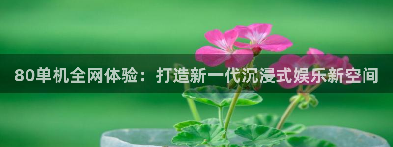 星欧娱乐：80单机全网体验：打造新一代沉浸式娱乐新空间