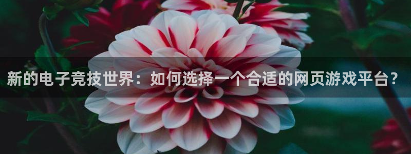 星欧娱乐平台官方网站：新的电子竞技世界：如何选择一个合适的网