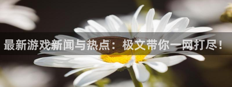 星欧娱乐2登录：最新游戏新闻与热点：极文带你一网打尽！