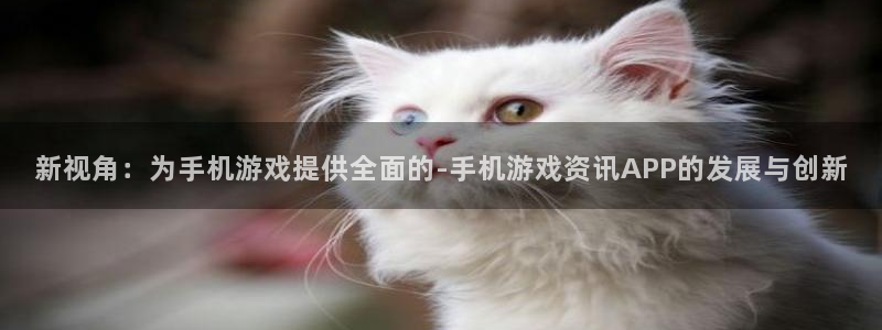 星欧娱乐app下载地址：新视角：为手机游戏提供全面的-手机游