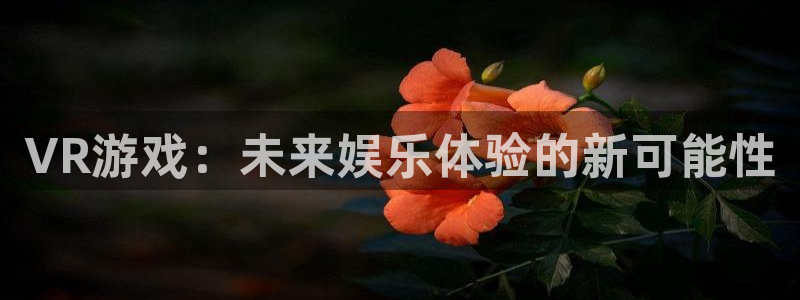 星欧娱乐下载：VR游戏：未来娱乐体验的新可能性