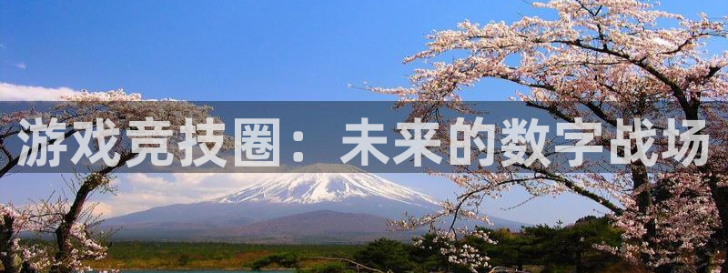 星欧娱乐科技：游戏竞技圈：未来的数字战场