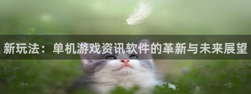 星欧娱乐注册官方登录app：新玩法：单机游戏资讯软件的革新与