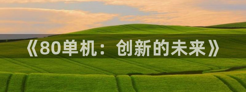 星欧娱乐平台登录：《80单机：创新的未来》