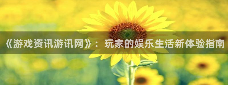 星欧娱乐主管：《游戏资讯游讯网》：玩家的娱乐生活新体验指南