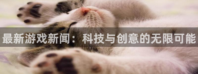星欧娱乐网页版地址：最新游戏新闻：科技与创意的无限可能
