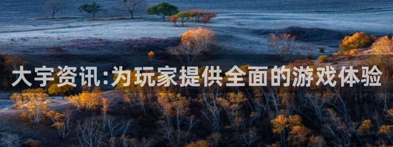 星欧娱乐平台登录入口：大宇资讯:为玩家提供全面的游戏体验