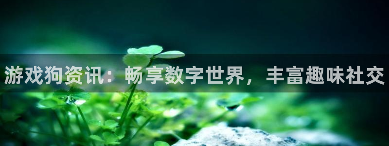 星欧娱乐官网：游戏狗资讯：畅享数字世界，丰富趣味社交
