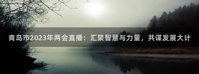 新球体育网球比分