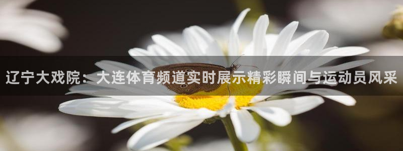 新球体育赛事