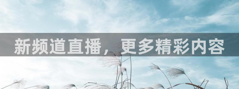新球足球
