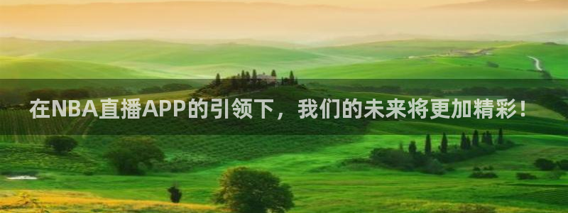 新球体育赛事