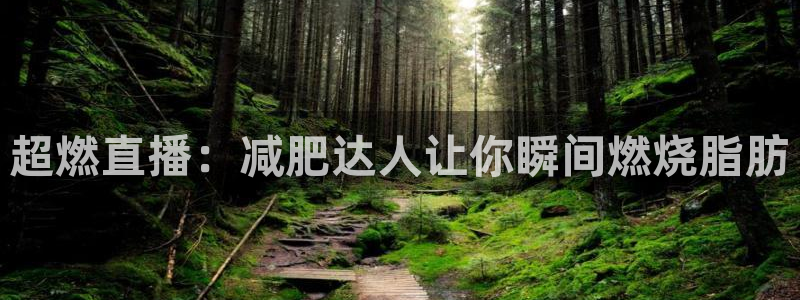 新球体育比分
