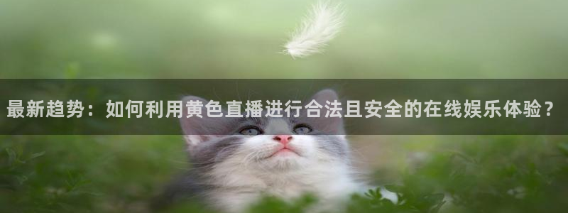 新球体育足球比分