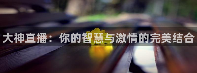 新球体育赛事