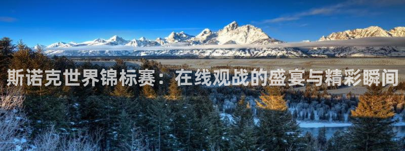 新球体育app：斯诺克世界锦标赛：在线观战的盛宴与精彩瞬间