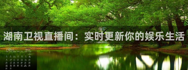 新球网直播：湖南卫视直播间：实时更新你的娱乐生活