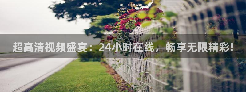 新球足球直播：超高清视频盛宴：24小时在线，畅享无限精彩!