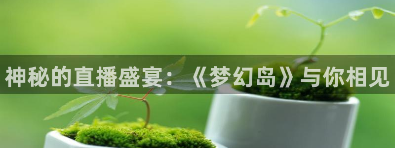 新球体育即时分：神秘的直播盛宴：《梦幻岛》与你相见
